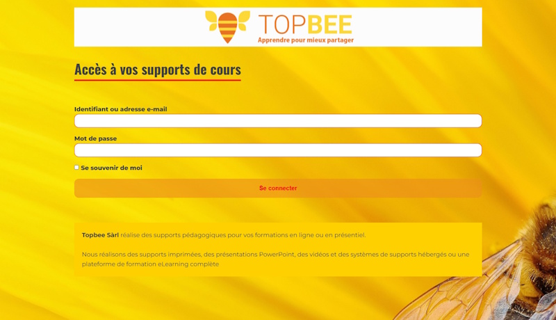 Aperçu du site topbee.ch